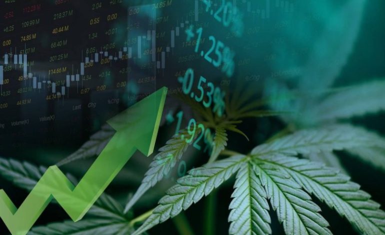  Is 2026 The Year The Cannabis Industry Matures?
